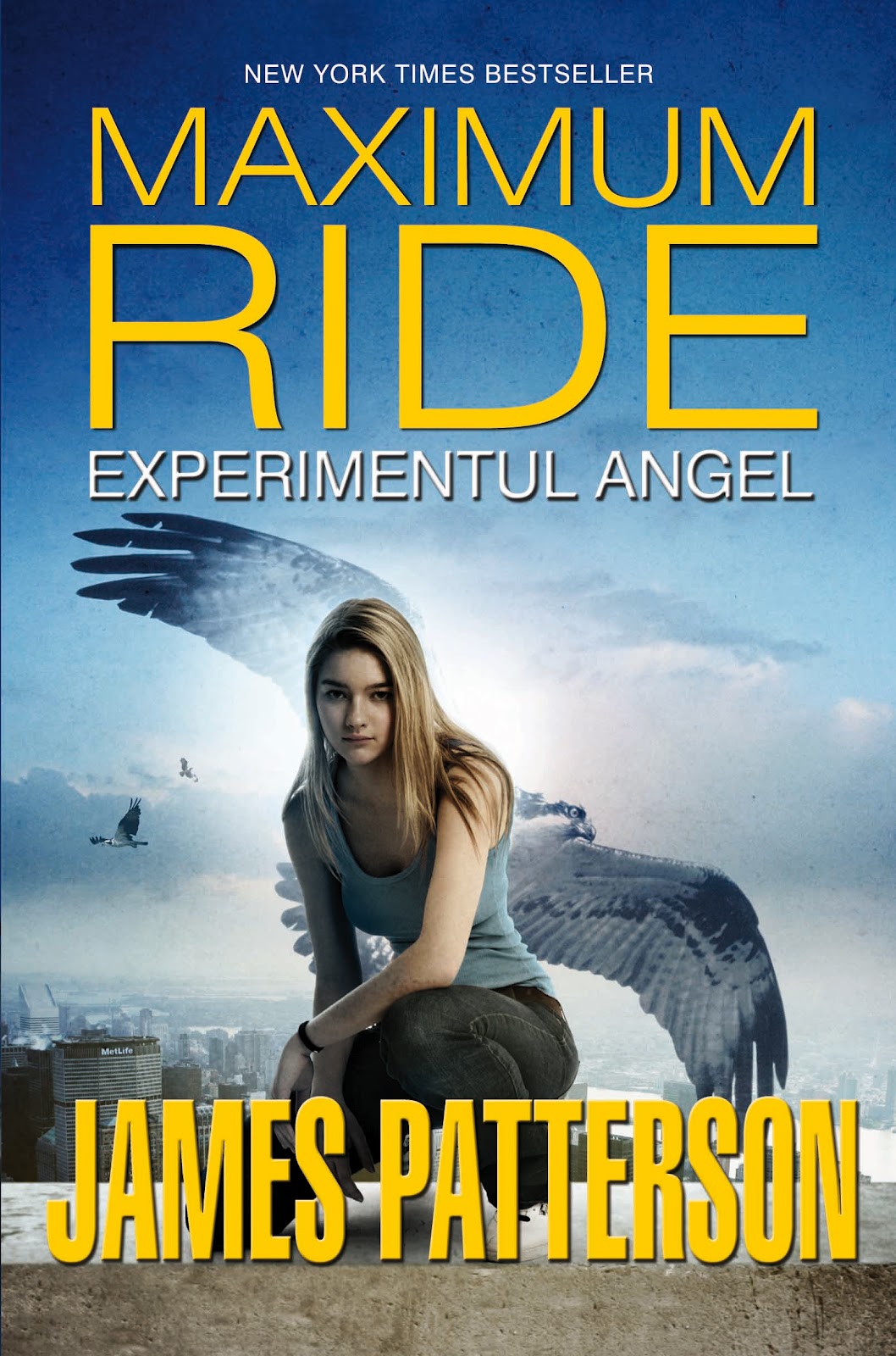 James Patterson: Experimentul Angel